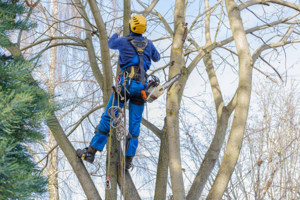 Best Weed Control  in Richlandtown, PA